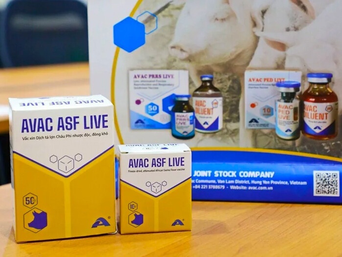 Thêm 340.000 liều vaccine phòng dịch tả lợn châu Phi của Việt Nam được 'xuất ngoại'