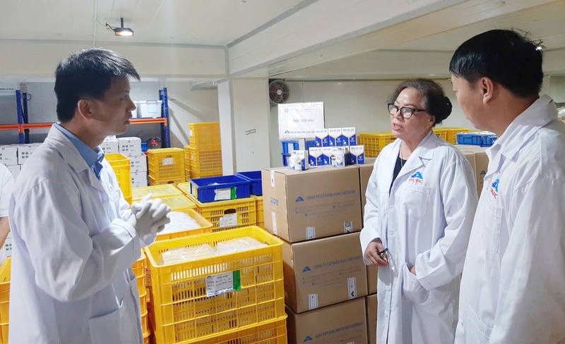 Thêm 340.000 liều vaccine phòng dịch tả lợn châu Phi của Việt Nam được 'xuất ngoại'