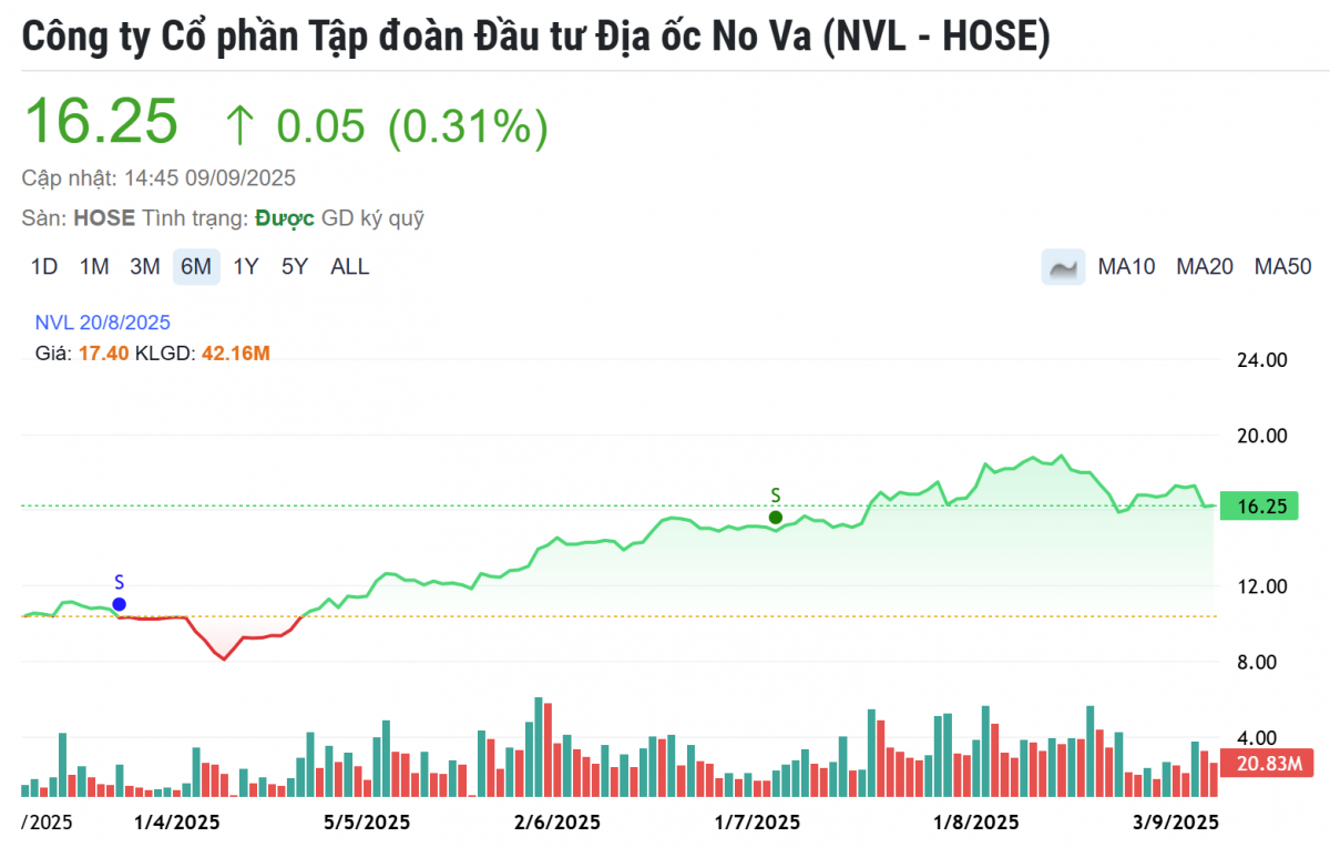 Novaland (NVL) thông qua phát hành 168 triệu cổ phiếu để trả nợ cho nhóm ông Bùi Thành Nhơn