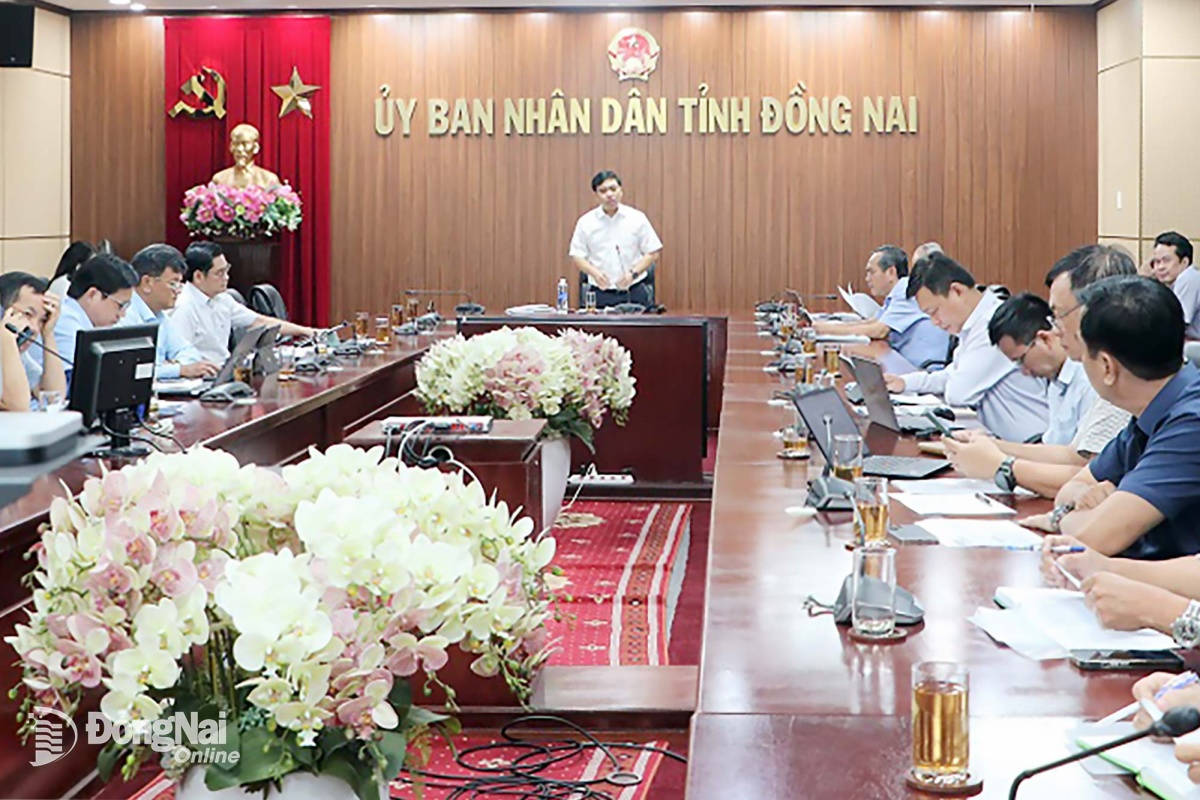 Công ty nhà THACO đề xuất làm tuyến đường xuyên rừng 22.600 tỷ đồng