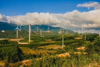 Tìm nhà đầu tư cho nhà máy điện gió Hưng Bắc 1.100 tỷ đồng