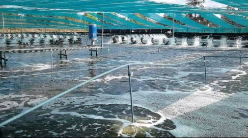 Trung Quốc liên tục săn lùng 'kho báu' dưới nước của Việt Nam: Nước ta là 'ông lớn' thứ 2 thế giới, sở hữu công nghệ chế biến hiện đại bậc nhất