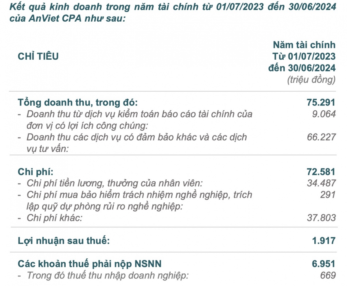 Đình chỉ tư cách hành nghề với 2 kiểm toán viên của An Việt CPA