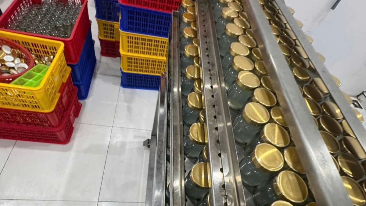 Phá đường dây dùng hoá chất tạo 'sợi yến' giống hệt hàng thật, đã đưa hàng chục nghìn hũ yến giả ra tiêu thụ khắp cả nước