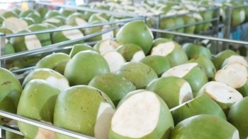Loại quả đặc sản của Việt Nam giá tăng gấp 6 lần, xuất khẩu kỷ lục nhưng trong nước lại khát nguyên liệu