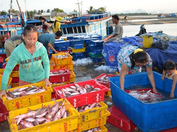 500 triệu USD hải sản Việt Nam nguy cơ bị cấm tại Mỹ, kế sinh nhai hàng trăm nghìn ngư dân bị ảnh hưởng