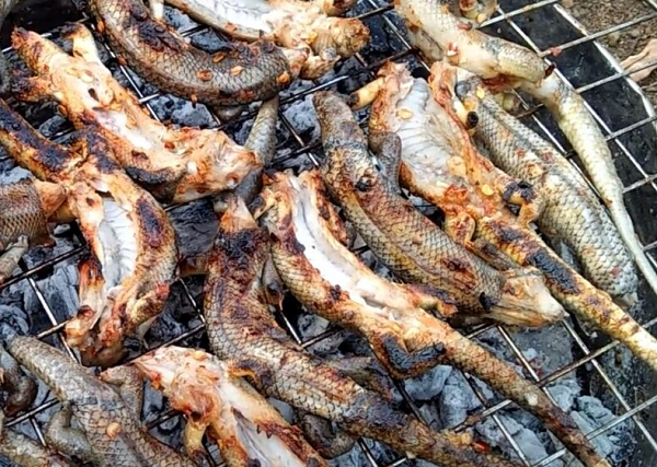 Nhiều người nhìn 'sợ chết khiếp', nhưng đây lại là đặc sản đắt đỏ, giá 350.000 đồng/kg vẫn được săn lùng