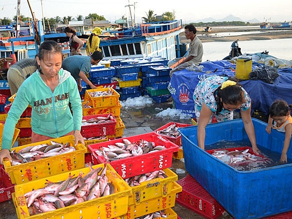500 triệu USD hải sản Việt Nam nguy cơ bị cấm tại Mỹ, kế sinh nhai hàng trăm nghìn ngư dân bị ảnh hưởng