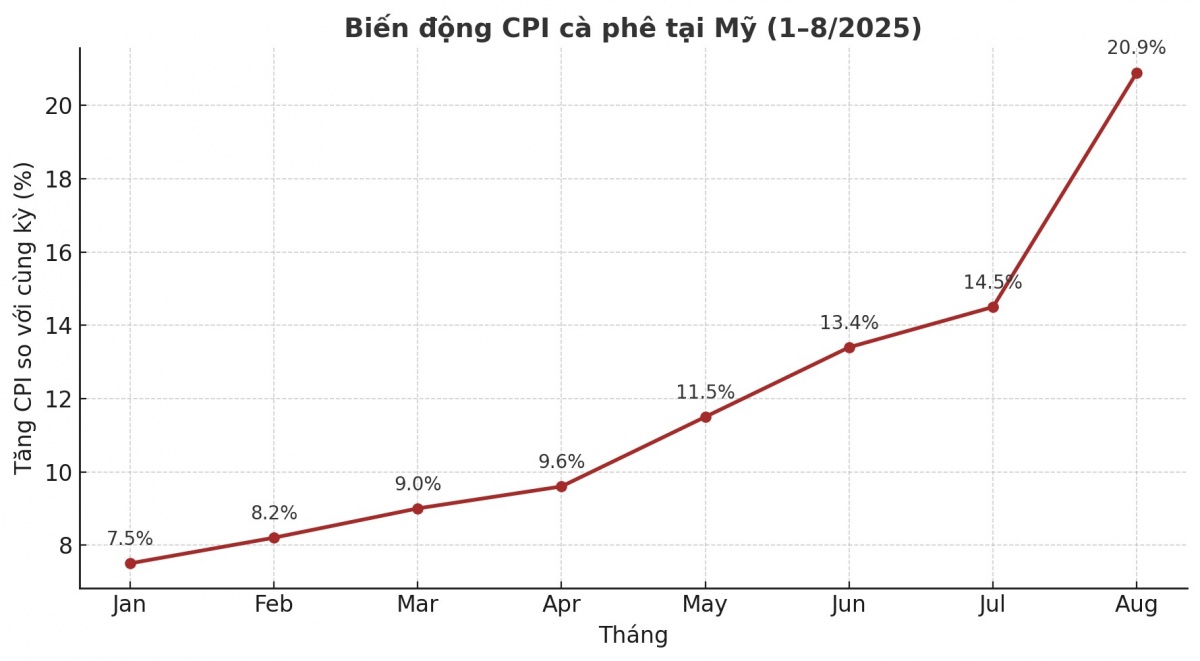 Người Mỹ choáng váng khi giá một mặt hàng tăng kỷ lục trong gần 30 năm, Việt Nam cần chớp ngay cơ hội