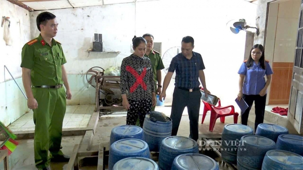 Khởi tố chủ cơ sở sản xuất 1.400 kg giá đỗ 'ủ nước kẹo' chứa chất cấm tại Ninh Binh