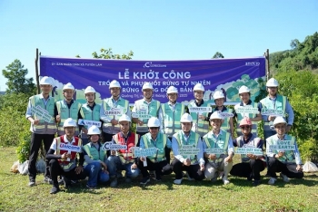 Coteccons trồng 11.777 cây bản địa góp phần hồi sinh rừng đầu nguồn tại Quảng Trị