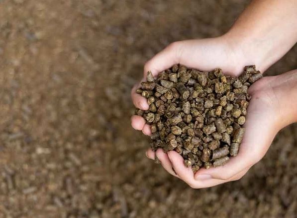 Ngành thức ăn chăn nuôi Việt tiết kiệm hàng chục USD mỗi tấn nhờ Trung Quốc áp thuế khủng lên một mặt hàng của Canada
