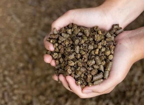 Ngành thức ăn chăn nuôi Việt tiết kiệm hàng chục USD mỗi tấn nhờ Trung Quốc áp thuế khủng lên một mặt hàng của Canada