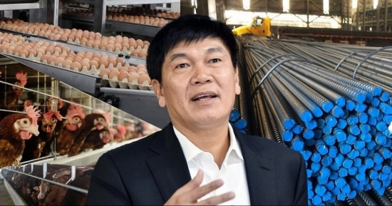 Nông nghiệp Hòa Phát chính thức nộp hồ sơ IPO, 'át chủ bài' tiếp theo của tỷ phú Trần Đình Long lộ diện