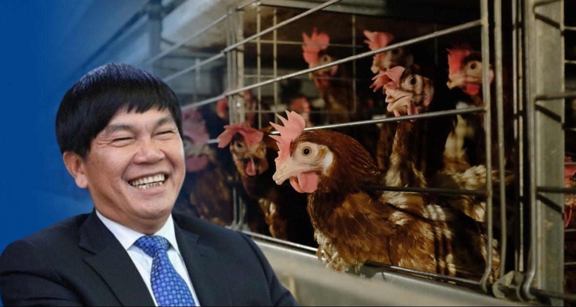 Tỷ phú Trần Đình Long 10 năm ươm mầm, Nông nghiệp Hòa Phát đã gây dựng được gì trước thềm IPO?