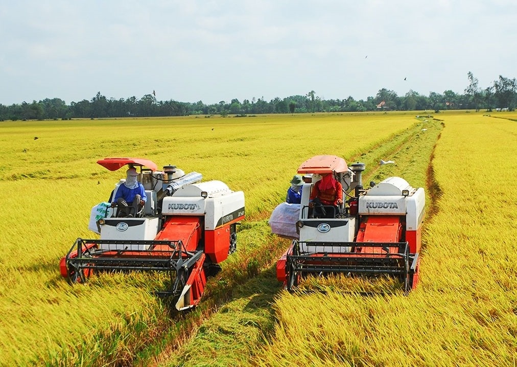 Nhìn lợi nhuận sau bán lúa, nông dân ĐBSCL vẫn mất ăn mất ngủ