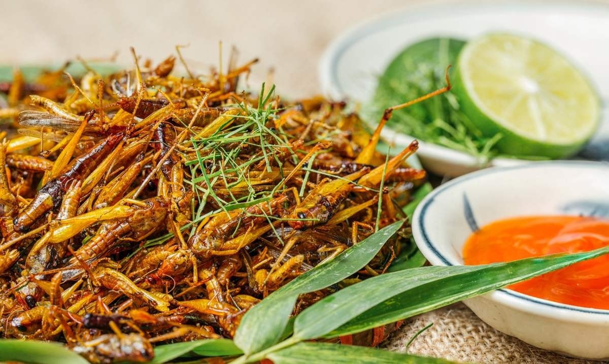 Anh nông dân vùng rốn lũ nuôi con trùng 'bé hạt tiêu', kỹ thuật đơn giản nhưng mỗi tháng lãi đều 20 triệu