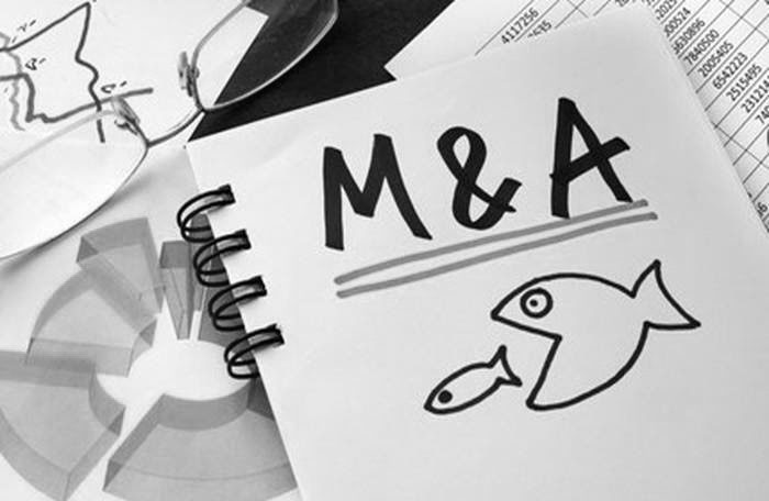 VinFast và Gelex hoàn tất loạt thương vụ M&A lớn