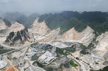 Ninh Bình đề nghị chuyển mục đích sử dụng 123ha rừng cho Thành Thắng, Xuân Thiện, Xuân Thành khai thác đá