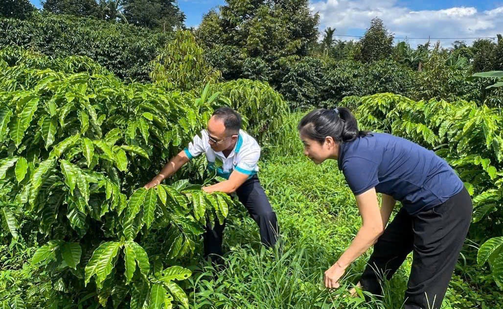 Đạm Phú Mỹ (DPM): 21 năm bền bỉ truyền thống sáng tạo, gắn kết và sẻ chia