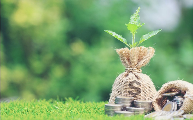 Một công ty con nhà Masan Consumer (MCH) chốt quyền trả cổ tức tỷ lệ 65%