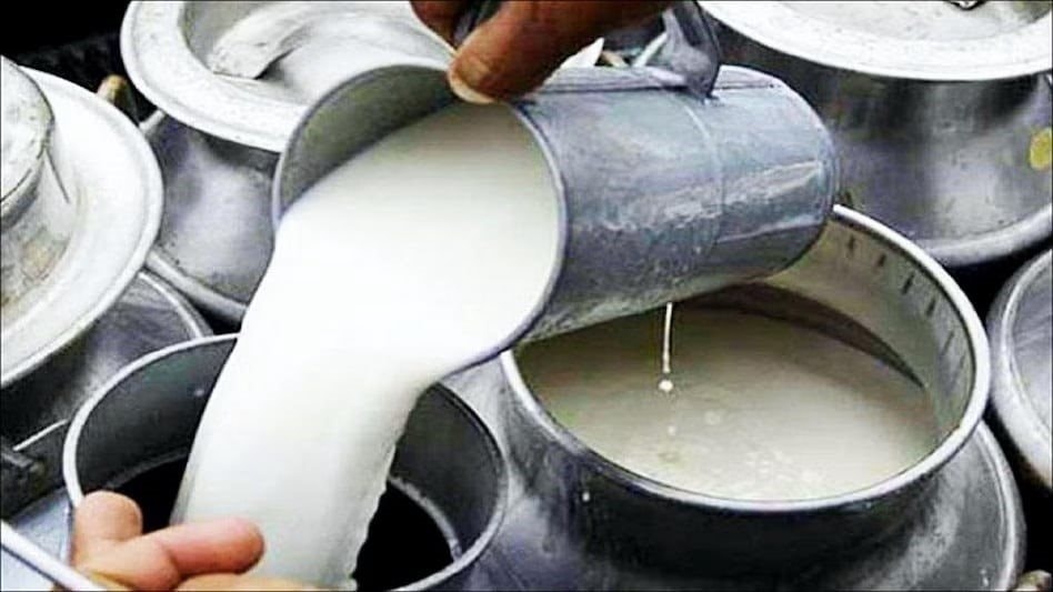 Đột kích một cơ sở lúc 4 giờ sáng, công an triệt phá đường dây sản xuất sữa giả bằng cách pha loãng sữa thật với nước bẩn