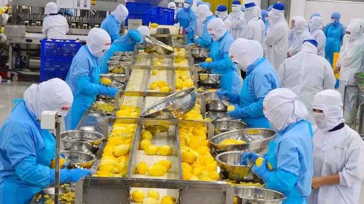 Từng bị coi là rác, một loại vỏ quả Việt Nam nay hóa thành 'mỏ vàng' giúp doanh nghiệp thu tiền tỷ mỗi năm