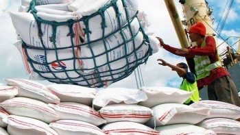 Tính cấm nhập khẩu thêm 30 ngày, Philippines tự ‘trói tay’ mình trước gạo Việt?