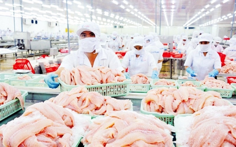 Một loại cá nước ngọt của Việt Nam bất ngờ xuất hiện trên bàn ăn sushi Nhật Bản