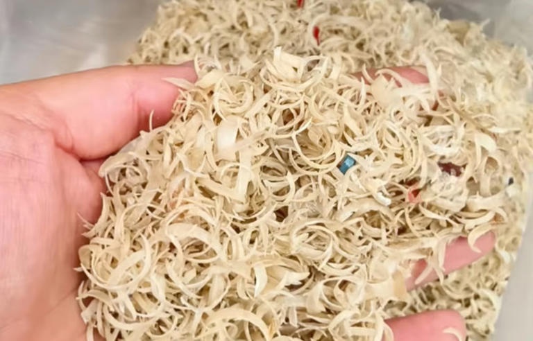 Móng tay người được thu mua với giá hơn 2 triệu đồng/kg để làm thuốc cổ truyền