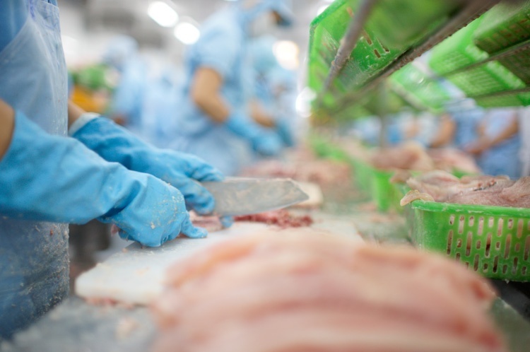 Thẻ vàng IUU chưa gỡ, thêm 'án phạt' từ Mỹ: Ngành cá tra, tôm đứng trước thử thách kép