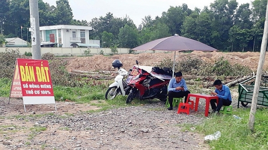 Sẽ không có sốt đất trong ngắn hạn