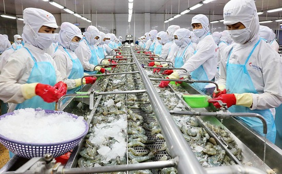 Chế biến thủy sản: Việt Nam đặt mục tiêu dẫn đầu thế giới về sản xuất và  xuất khẩu thủy sản | VTV.VN