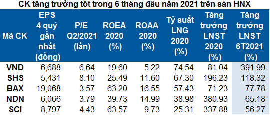 Điểm mặt những cổ phiếu tốt trên HOSE và HNX nửa đầu năm 2021
