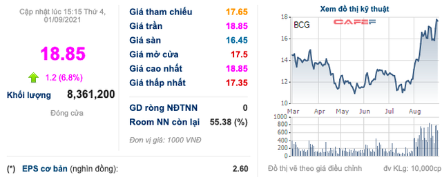 Bamboo Capital (BCG): Thị giá tăng hơn 72% chỉ sau 1 tháng, sắp chào bán 149 triệu cổ phiếu giá 12.000 đồng/cp - Ảnh 2.