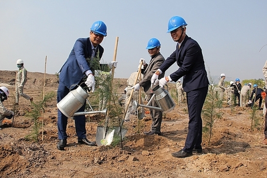 Cổ phiếu Điện lực TKV - Chỉ tăng trần là chưa đủ sức hút