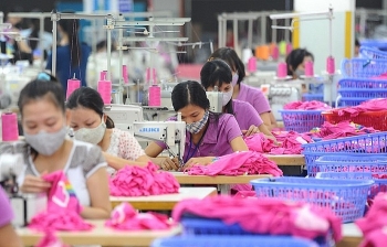 Cổ phiếu dệt may: Thất vọng!
