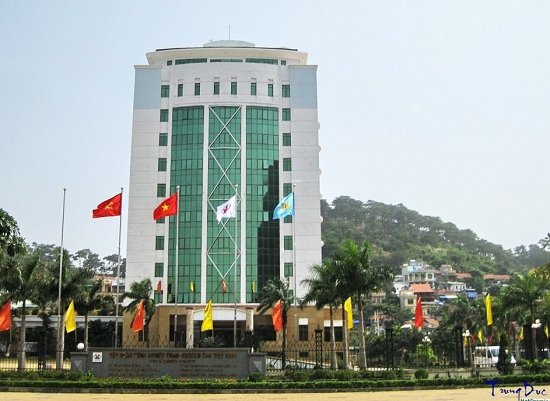 TKV ghi nhận doanh thu 123.425 tỷ đồng, giảm hơn 6% so với năm 2019