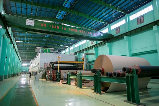 Lợi nhuận sau thuế của Đông Hải Bến Tre tăng 115%, đạt gần 392 tỷ đồng
