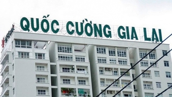 Lãi ròng 2018 giảm 76%, QCG nợ bà Nguyễn Thị Như Loan hơn 308 tỷ đồng