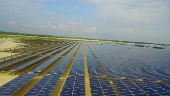 Điện Gia Lai sắp đưa vào hoạt động 2 nhà máy điện mặt trời tại Long An và Bình Thuận