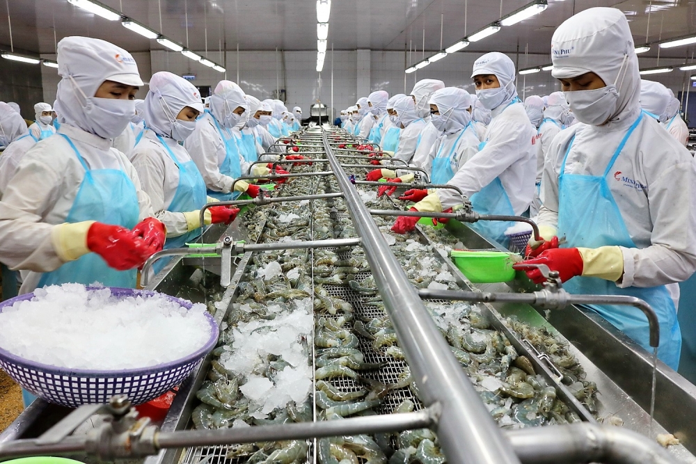 Lãi 9 tháng giảm 14%, vốn hóa Thủy sản Minh Phú (MPC) “bốc hơi” hơn 900 tỷ đồng sau một tháng