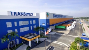 Transimex trả cổ tức năm 2018 bằng cổ phiếu, tỷ lệ 15%