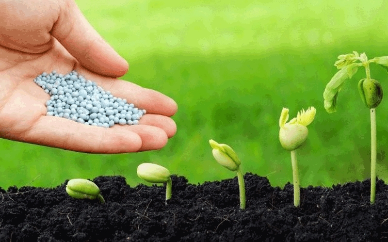 Kết quả kinh doanh ngành phân bón có sự phân hóa rõ rệt năm 2020