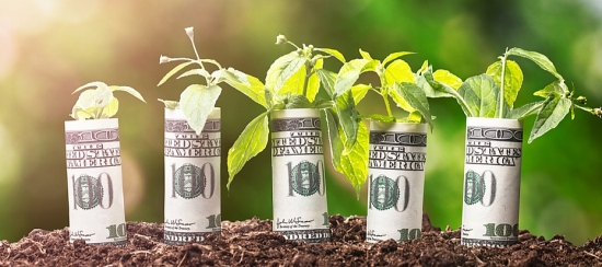 Lịch cổ tức đầu tháng 3/2021: Sabeco dự chi gần 1.000 tỷ đồng