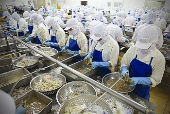 Thực phẩm Sao Ta (FMC) chào bán hơn 8 triệu cổ phiếu, dự kiến thu về 201 tỉ đồng