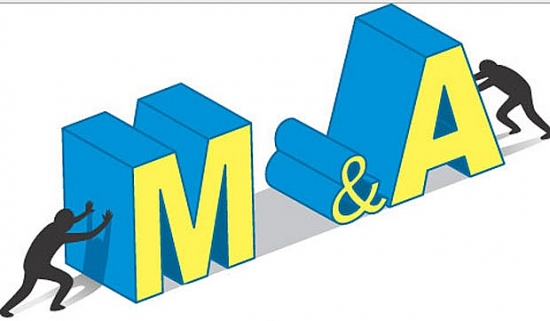 Thứ trưởng Bộ Kế hoạch và Đầu tư: M&A cần sự cân bằng với nhu cầu doanh nghiệp trong nước