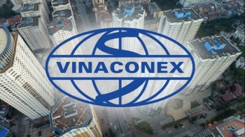 Vinaconex trả cổ tức còn lại năm 2018 bằng tiền, tỷ lệ 2%