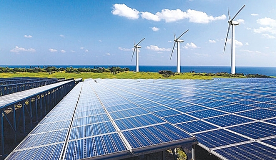 Bamboo Capital huy động hơn 1.000 tỷ đồng đầu tư năng lượng tái tạo